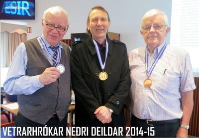 Vetrarhrókar 2015-neðri deild